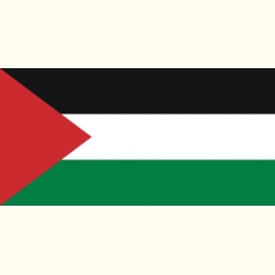 Flaga Palestyny. Naklejka.