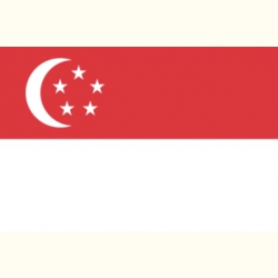 Flaga Singapuru Naklejka.