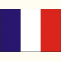 Flaga Francji. Naklejka.