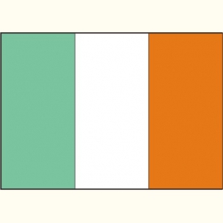 Flaga Irlandii. Naklejka