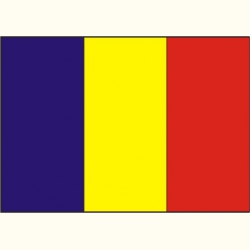Flaga Rumunii. Naklejka