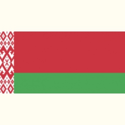 Flaga Białorusi. Naklejka