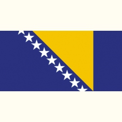 Flaga Bośni i Hercegowiny. Naklejka.