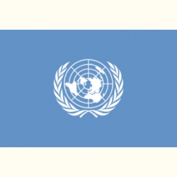 Flaga ONZ. Naklejka.