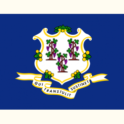 Flaga Connecticut. Naklejka.