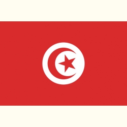 Flaga Tunezji. Naklejka.