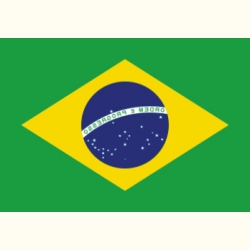 Flaga Brazylii. Naklejka