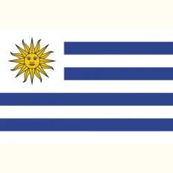 Flaga Urugwaju. Naklejka