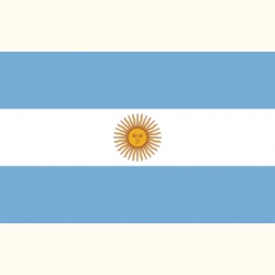 Flaga Argentymy. Naklejka
