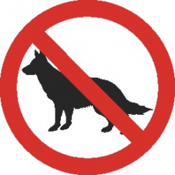 Zakaz wprowadzania psów. Naklejka.